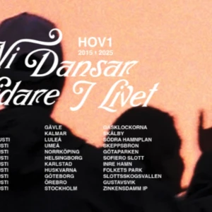 Hov1 biljett  - Norrköping❤️Kan gå ner i pris 