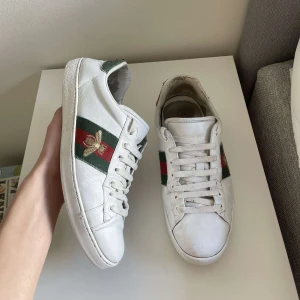 Ace skor  - Sjukt feta Gucci skor skrev för fler bilder eller frågor