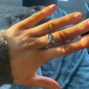 Silver ring i rostfritt stål - Silver ring i rostfritt stål