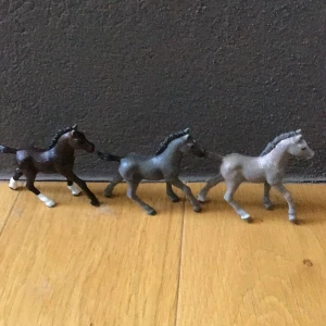 Titti, Conilia och Singne till salu - Den bruna heter Titti och den mörk gråa heter Conilia och den ljus gråa heter Singne🥰(namn får bytas) Jag säljer de för jag har väldigt många så jag behöver få säljt några❤️