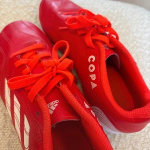 Röda Adidas Copa inomhus fotbollsskor - Säljer ett par röda Adidas Copa fotbollsskor med vita detaljer och klassisk snörning. Skorna har en låg profil och är tillverkade i syntetmaterial. Perfekta för dig som vill sticka ut på planen med stilrena och sportiga skor. Använd en gång och i jätte bra skick. Original pris: 475kr 💞