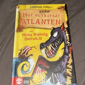Hur du (nästan) korsar Atlanten - Följ med Hicke Hiskelig Halvulk III på ett galet vikingaäventyr över Atlanten! Fylld med drakar, havsmonster och massor av humor. Perfekt för dig som gillar spänning, vänskap och episka resor. En bok som garanterat får dig att skratta och vilja läsa mer!