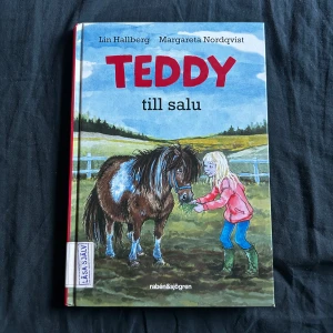 Teddy till salu - En charmig bok om hästar och vänskap! Följ Elsa som drömmer om att få köpa ponnyn Teddy. Perfekt för unga hästälskare med korta kapitel, stor stil och många bilder. Passar dig som gillar djur och spännande vardagsäventyr.