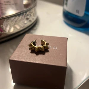 Guld örhängen från Edblad - Säljer ett av mina Edblad örhängen då jag tyvärr tappat bort den andra och inte längre så har användning till det!! Inga skadar på örhänget alls!!🥰