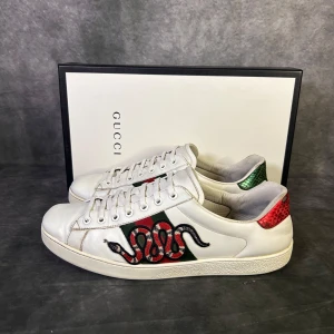 Gucci ace snake sneaker - Mycket fint skick | Size uk 9,5 passar 44  | Box medföljer | fraktar spårbart inom 24 timmar |  för att köpa klicka ” köp nu” | vid frågor skriv ett meddelande |