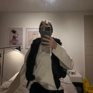 Svart pälsväst med huva - Snygg svart pälsväst med huva och dragkedja framtill. 