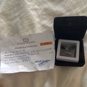 Guldörhängen 18K från Gold Touch med äkta diamanter  - Snygga örhängen i 18 karat vitt guld från Gold Touch. De är små, runda och har en glittrig yta framtill, äkta diamanter. Perfekta att bära varje dag för en stilren look. Kommer i originalask och med äkthetsbevis. Nypris är cirka 10 000kr❤️