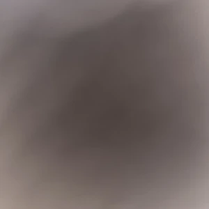 Fri frakt - Fri frakt