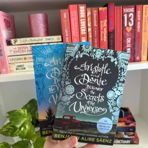 [ENG] Bokserien Aristotle and Dante - Båda delarna av serien: (1) Aristotle and Dante Discover the Secrets of the Universe + (2) Aristotle and Dante Dive Into the Waters of the World. Första boken är läst och har liten förslitning vid hörnen. Andra boken är oläst. Båda ryggarna är fina, inga noteringar. 📚