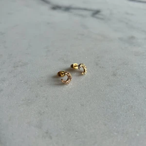 Örhängen måne - Säljer dessa gulliga örhängen med en liten måne. Tillverkade av metall och stål med ett yttre lager av zink. Har aldrig använts så är som i nyskick.
