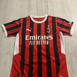 AC Milan Puma fotbollströja Leão 10 - AC Milan matchtröja från Puma med Rafa Leão och nummer 10 på ryggen. Klassisk röd och svart randig design med vita detaljer och klubbmärke på bröstet. Tillverkad i lätt och ventilerande material, perfekt för fotbollsplanen eller att bära som supporter.