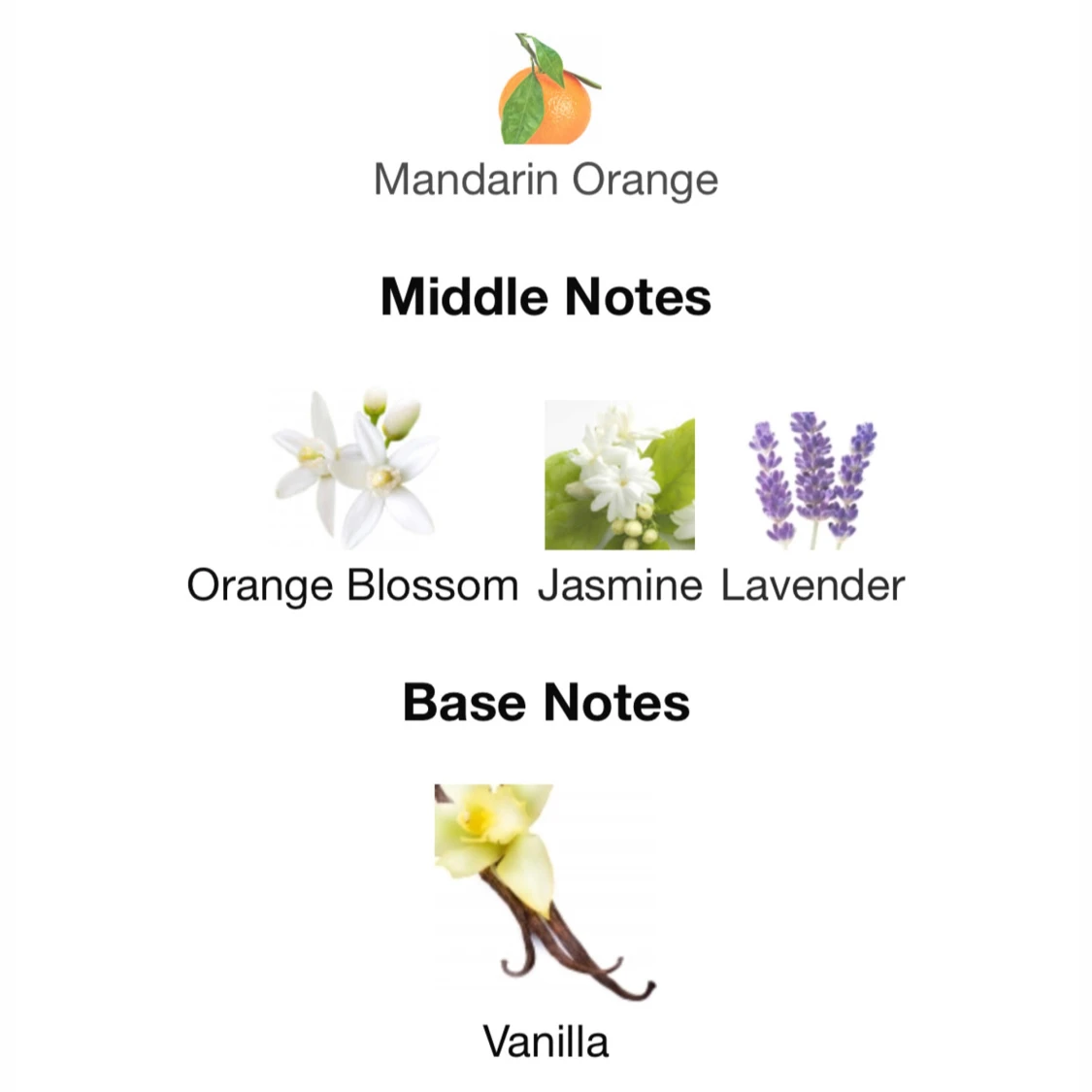 Zara Golden Decade EDP 80ml - 3