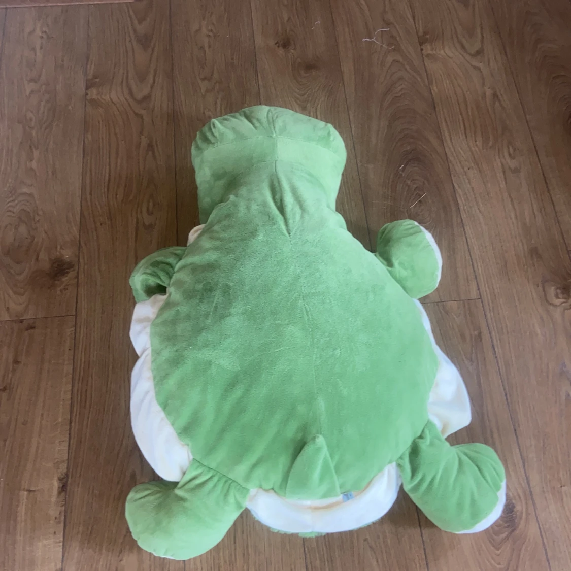 Stor grön sköldpaddsmjukis - 3