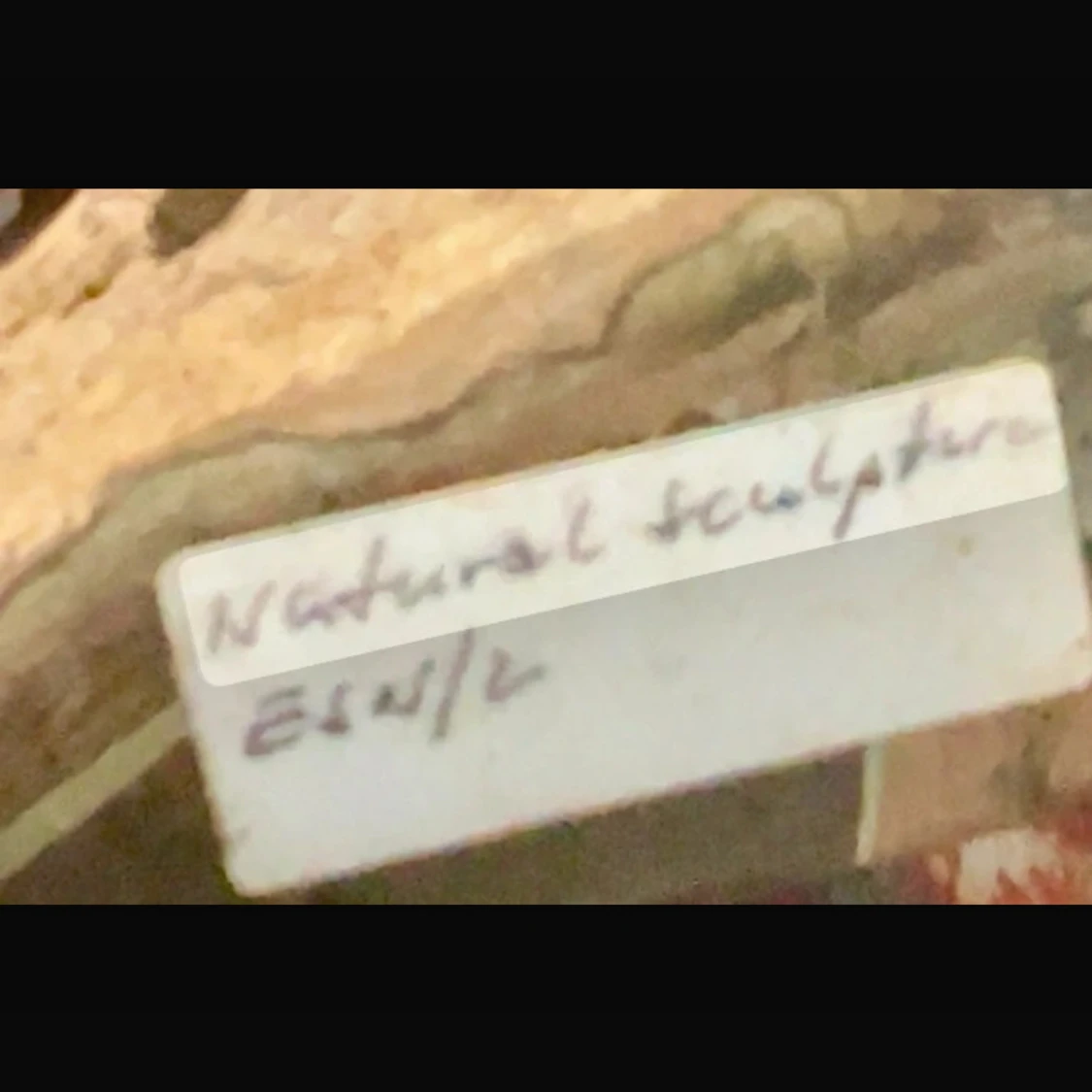 Natural Sculpture - 3