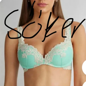 Söker dessa  - Söker alla dessa färger på intissimi bh-ar i storlek 70b. Hör av er om ni har till salu