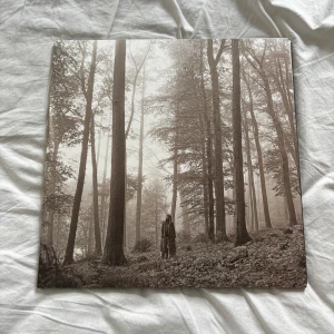 Vinylskiva folklore av Taylor Swift - Vinylskiva 'folklore' av Taylor Swift. Jättefint skick! Aldrig spelat skivan, ändrat öppnad. Öppen för prisförslag💖