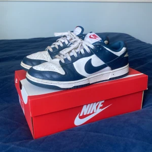 Nike Dunk Low Retro Valerian Blue - Säljer ett par Nike Dunk Low Retro i färgen Valerian Blue. Perfekta skor nu till sommaren. Ifall du har några frågor så är det bara att fråga!