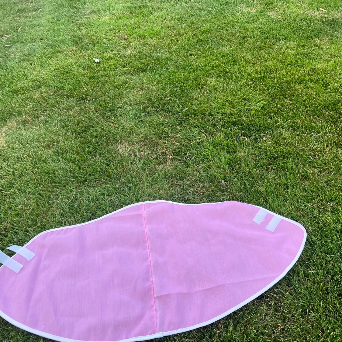 Rosa käpphästtäcke. - 3