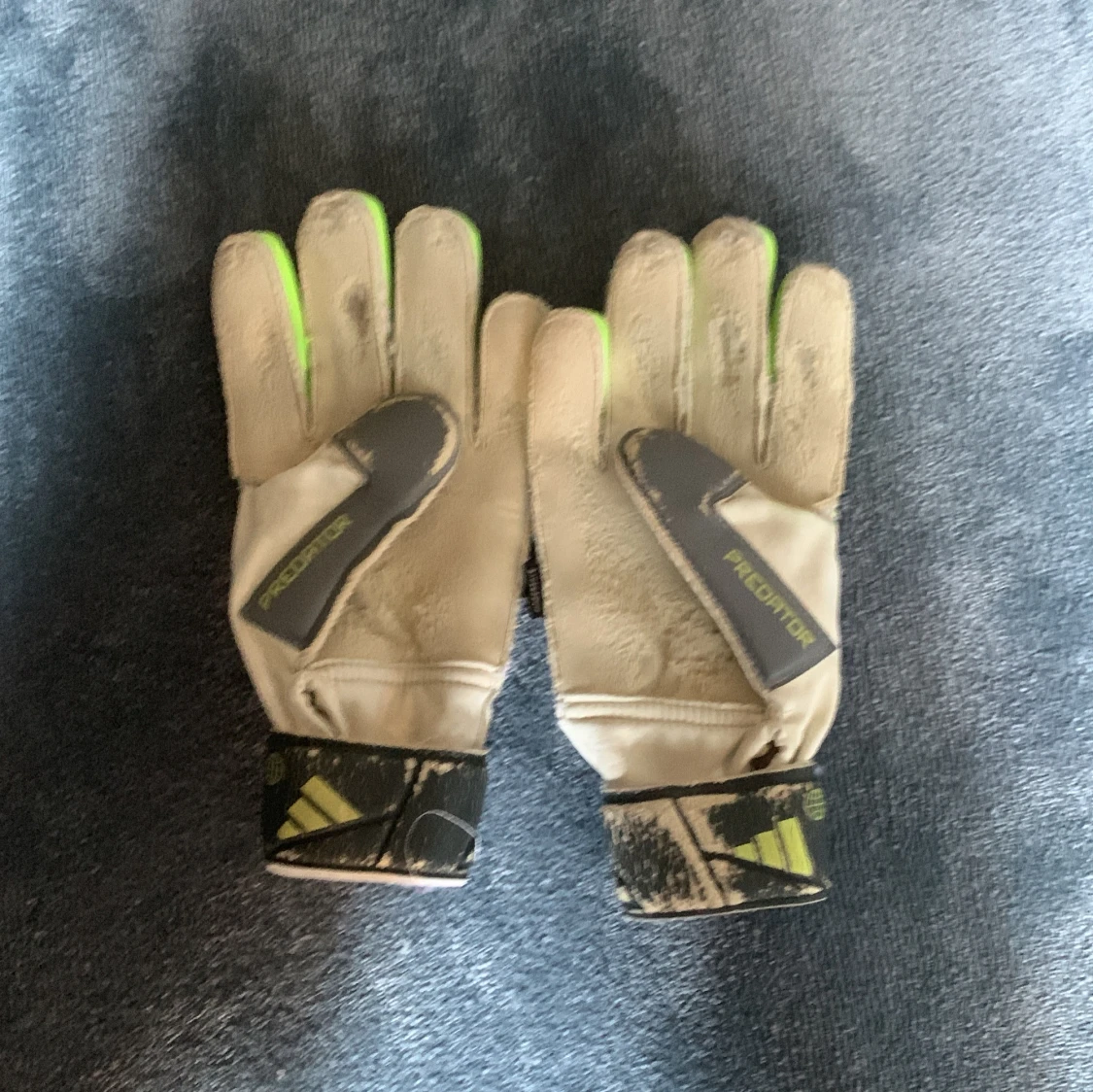 Adidas Predator målvaktshandskar - 1