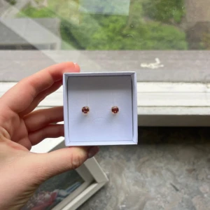 Classic studs från Caroline Swedbom - Säljer ett par supersöta classic studs i färgen rose peach!!🩷dem är helt oanvända😍nypris 395 kr