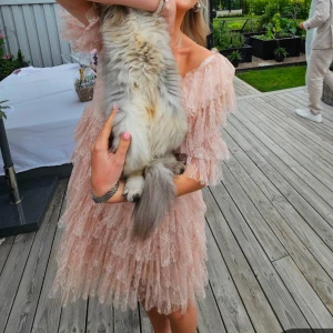 Ljusrosa volangklänning med spets - Superfin ljusrosa klänning med flera lager volanger och spetsdetaljer. Klänningen har v-ringning och trekvartsärm, perfekt för sommarens alla tillfällen. Söt och romantisk look med fluffig kjol och axelparti. 