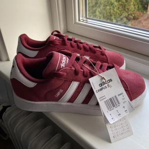 Adidas campus 2 - Skit snygga adidas campus 2 i rött. Helt slutsålda, de är aldrig använda då jag köpte för liten storlek❤️ obs köpta på zalando men fick inte med någon kartong