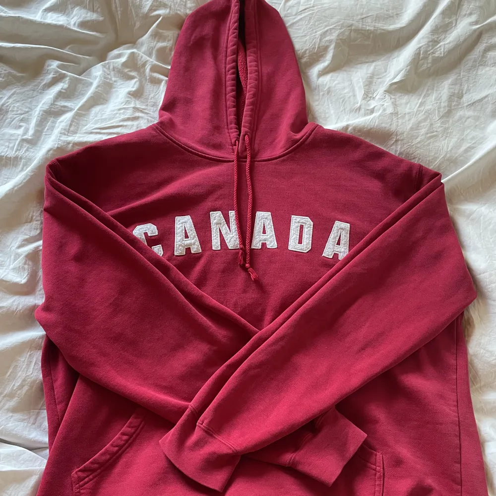 vintage hoodie köpt på plick för ett tag sedan🫶🏽 kommer inte till användning. Står ingen storlek men skulle säga L eller oversized M!. Hoodies.