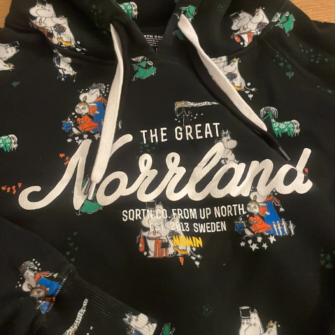 Norrlands Hoodie Sqrtn Company - 90