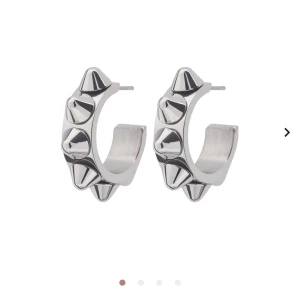 Edblad örhängen  - Hej! Jag säljer mina Edblad örhängen för att jag har börjat använda guld smycken istället dom är i bra skick, skulle kunna tänka mig att byta mot guld oxå☺️ Kan gå ner i pris! Skriv för fler bilder💗