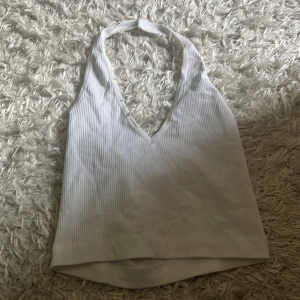 Halterneck  - Strl L 100kr