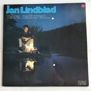 Vinylskiva - (Köp 5 stycken vinylskivor för 100kr!)🩵