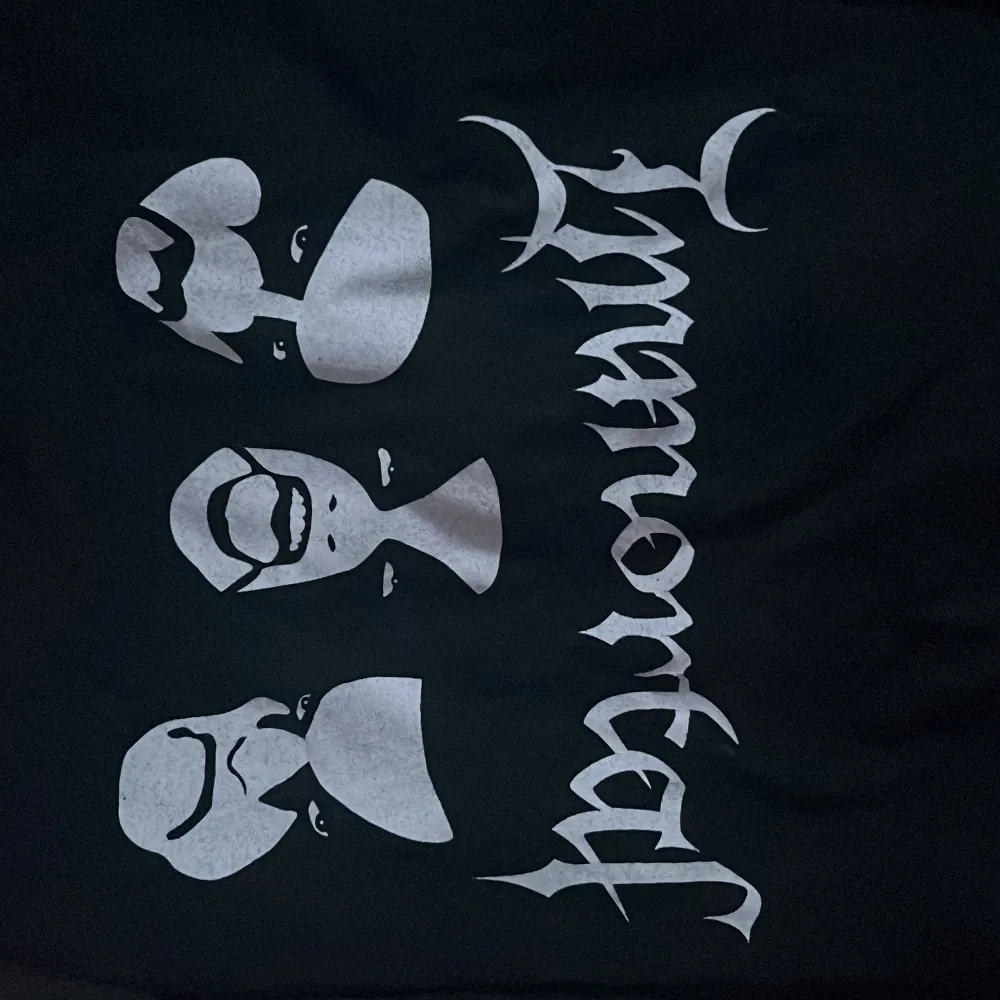 Bra skick, as cool tshirt med tryck från bandet Immortal. Bild 1 är framsidan, bild 2 baksidan. T-shirts.