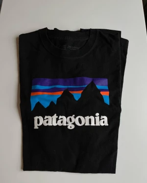 Patagonia tshirt  - Använd 3ggr. Som ny. Storlek M