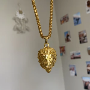 Lejon halsband 💫 - Lite av guldfärgen har flagnat av med åren tyvär 