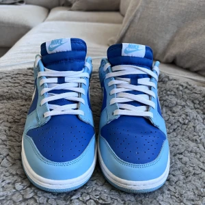 Nike Dunk Low Retro QS 'Argon' - Snygga dunks som använts 2 gånger.   Strl 42