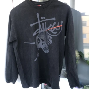 stussy longsleeve - stussy strlk m 