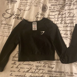 Gymshark tröja - Säljer denna Gymshark tröja då den aldrig kommit till användning, aldrig använd, säljer då den inte passade mig. Kom privat för frågor eller annat🩷