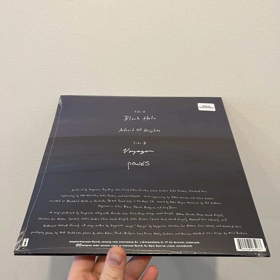 BOYGENIUS - THE REST 10” VINYLSKIVA  - 91