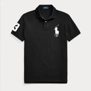 Polo Ralph Lauren skjorta - Säljer då jag inte får användning av den. Använd få gånger. Nypris 1 100