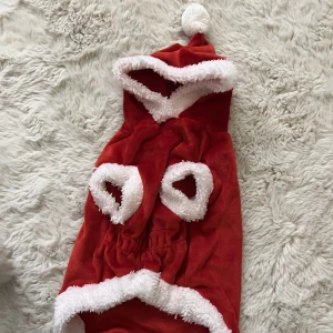 Hundkläder  - Använd 1 gång 