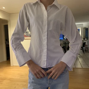 Skjorta med detaljer  - Använd 1-2 gånger. Mindre knapp saknas men inget märkbart 