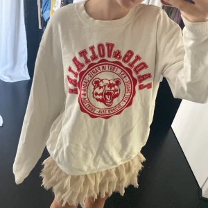 Zadig tröja - Säljer denna skjukt snygga och trendiga Zadig sweatshirt då den inte kommer till andvändning! Tröjan är köpt i Juni förra året men ALDRIG andvänd förutom testning! Kom privat för fler bilder samt om ni är intresserade!!🫶💕💕