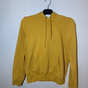 Hoodie  - Fint skick 