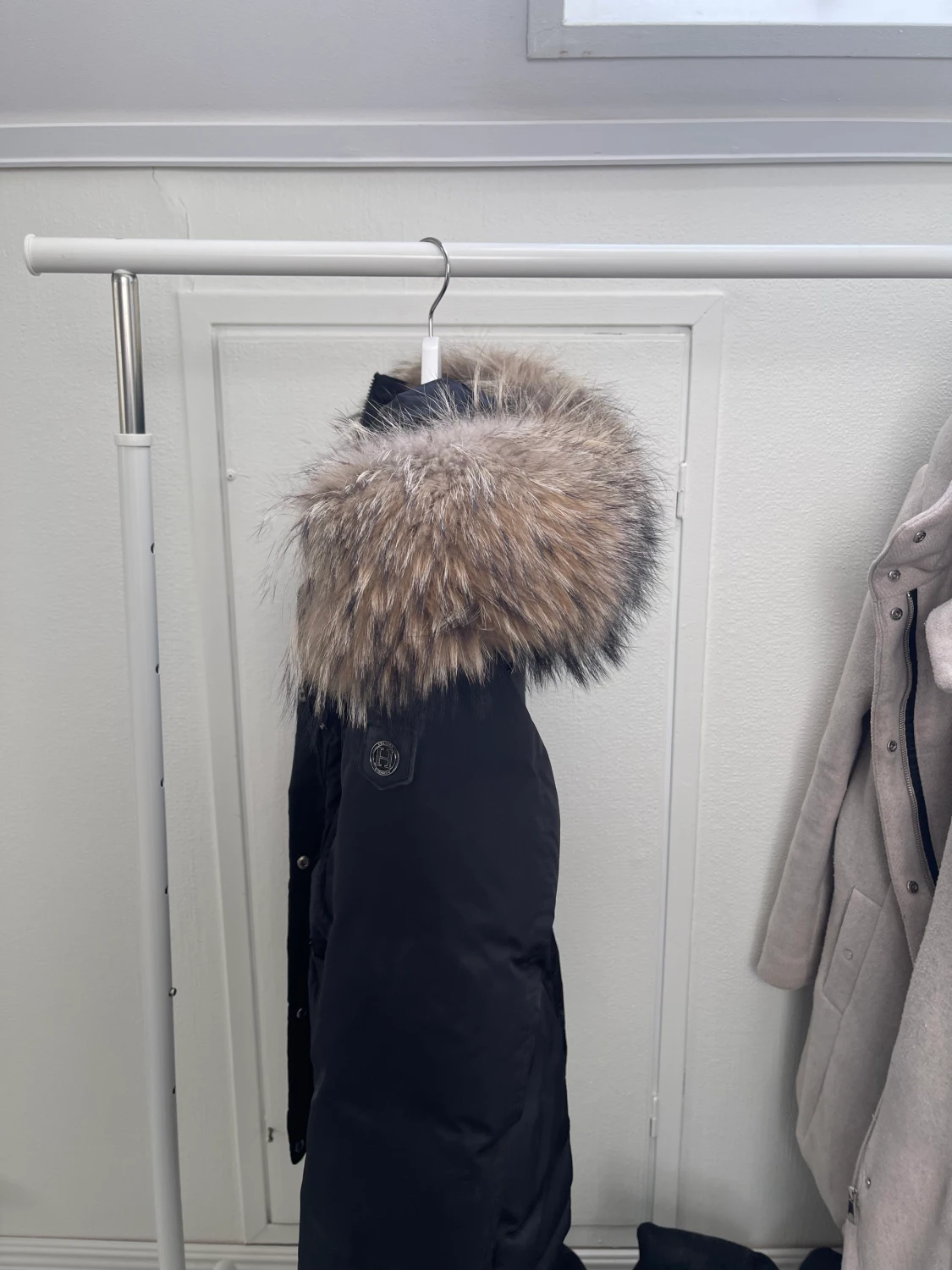 Hollies livingo - 92