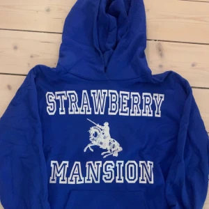 Strawberry Mansion hoodie - Blå Storlek M
