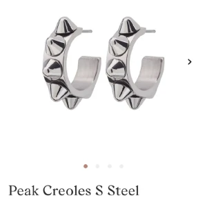 Nit örhängen - Säljer dessa superfina nitörhängen💕