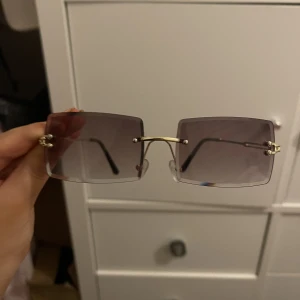 Solglasögon  - Aldrig använt, bara testat. Mörklila/brun aktig färg på glaset. Kommer med ett svart glasögonfodral.