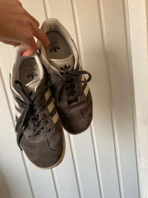 Addidas  - Addidas skor i storlek 36