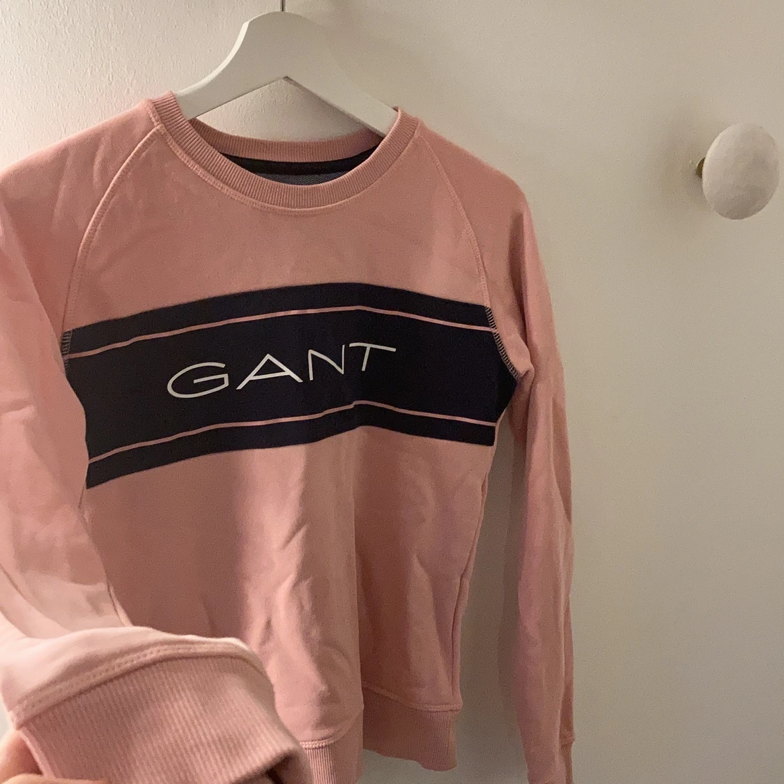 Gant hoodie💗