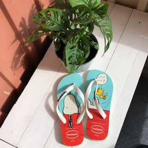 Havaianas storlek 39-40 Snobben - Knappt använda Havaianas flip flops med Snobbenmotiv